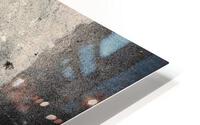 3626 HD Metal print