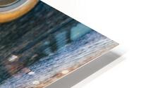 3641 HD Metal print