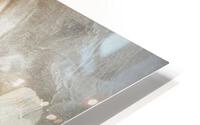 3655 HD Metal print