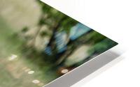 3683 HD Metal print