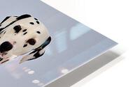 3712 HD Metal print