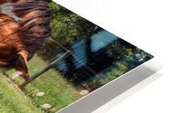 3733 HD Metal print