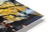 3740 HD Metal print