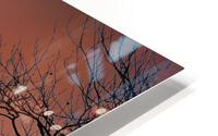 3746 HD Metal print