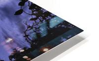 3748 HD Metal print