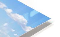3756 HD Metal print
