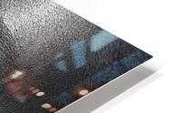 3759 HD Metal print
