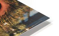 3762 HD Metal print