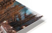 3777 HD Metal print