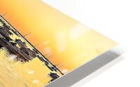 3784 HD Metal print