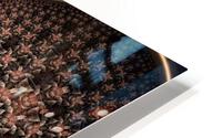 3788 HD Metal print