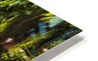 3792 HD Metal print