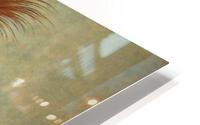3800 HD Metal print