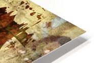 3806 HD Metal print