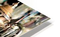 3819 HD Metal print
