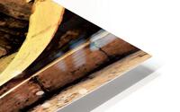 3823 HD Metal print