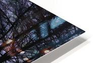 3825 HD Metal print