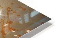 3836 HD Metal print