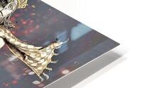 3856 HD Metal print