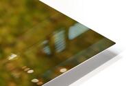 3861 HD Metal print
