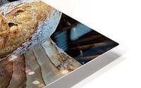 3879 HD Metal print