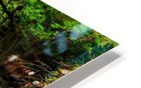 3881 HD Metal print
