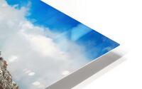 3888 HD Metal print