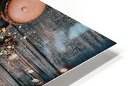 3901 HD Metal print