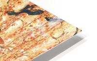 3906 HD Metal print