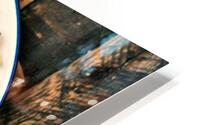 3911 HD Metal print