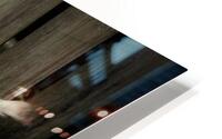 3927 HD Metal print