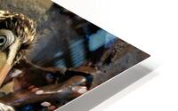 3935 HD Metal print