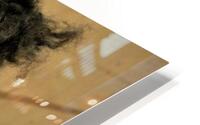 3944 HD Metal print