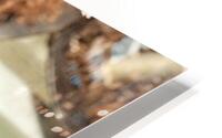 3962 HD Metal print