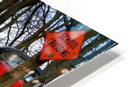 3963 HD Metal print