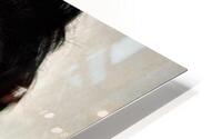 3967 HD Metal print