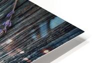 3959 HD Metal print