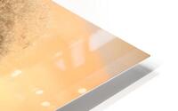 3970 HD Metal print