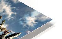 3972 HD Metal print