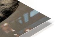 3984 HD Metal print