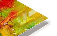 4004 HD Metal print