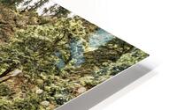 4024 HD Metal print