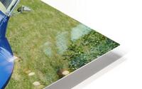4038 HD Metal print