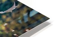 4048 HD Metal print