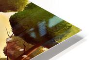 4065 HD Metal print
