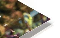 4083 HD Metal print