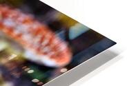 4088 HD Metal print