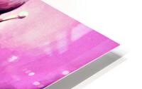 4155 HD Metal print