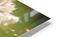 4178 HD Metal print