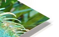 4203 HD Metal print